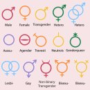 개들의성 이미지