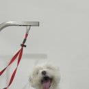 또또살롱 이미지