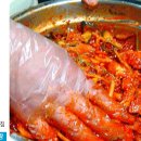 홍어사랑 이미지