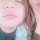 쇼앤프루브