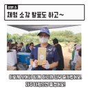 큰솔농장 이미지