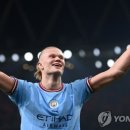 타이시즌 이미지