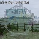 이기대 동생말 이미지