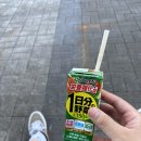 관광객 적은 스팟을 찾아서 [7편,메이노하마~마리노아시티 투어 (후쿠오카 여행ㅣ메이노하마ㅣ마리노아...