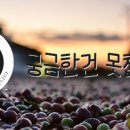 밸런스태권도장 이미지