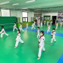 경희대 챔피온태권도장 이미지