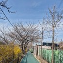 창동교 화장실 이미지