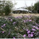 (유)구룡 이미지