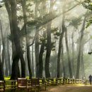 대왕암공원관리사무소 이미지