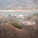 철우농장 티스토리