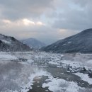 실상뜰 유정란 이미지