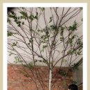 송정권노인복지관 이미지