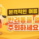 이끌림동물병원 이미지