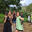 지례초등학교 이미지