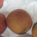 예솔농장 이미지