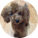 시루멍