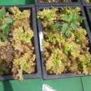 재만농장 이미지