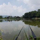 돌성저수지낚시터 이미지