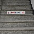 뉴스플라워.조경 이미지