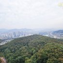 이집부동산공인중개사사무소 이미지