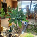 토브하르 이미지