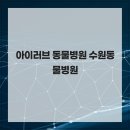 아이러브동물병원 | 아이러브 동물병원 수원동물병원