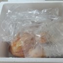 미성 | 철원 청정지역 미성 포기김치 솔직후기