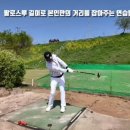 파크 골프 잘 치는 요령 이미지
