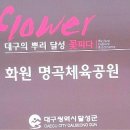 명곡체육공원 이미지