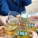 사단법인 일하는 사람들 | 서귀포 횟집 여행코스 제주도 현지인 맛집 쌍둥이횟집