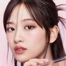 팔레트 이미지