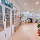 한국미니어쳐아카데미 네이버블로그