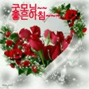 한결공인중개사사무소 이미지