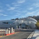 계림 | 플래시백 계림 후기 포토존,전시 구성까지 완벽 빛으로 만든 숲