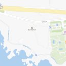 꿈에본꽃돼지 이미지