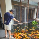 주스&라이스 | 푸꾸옥 리젠트 조식 라이스마켓 3일 후기 (메뉴판 첨부)