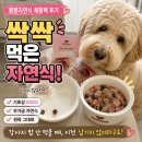 봄봄자연식 자연식체험팩, 강아지밥안먹을때 기호성 좋았던 후기