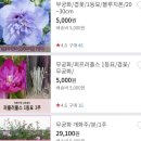 이강산농장 이미지