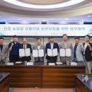 팜팜코퍼레이션