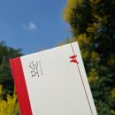 북대전 | 대전 독서 모임 대세북 모순 양귀자_이제야 적어보는 후기