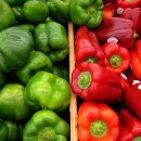 야채청과 이미지