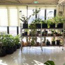 자연을그리는사람들 이미지