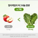 케일 - 양천구 목동중앙북로16길 7-9 | 케일