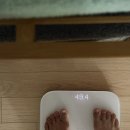 입터짐 방지 포만감 &amp; 먹성통제 필수템 올리브영 이너랩 위고잇