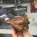 소로1-문평3 | 두쫀쿠 사냥 실패... 안산 '소로(SORO)카페' 후기