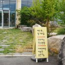 드로핀 네이버블로그