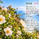 첫사랑. 그녀 -정호순 이미지