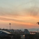 하얀집낙지전문점 이미지