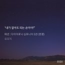 다심 이미지