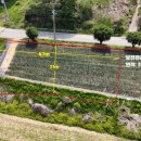 여주-1015 이미지